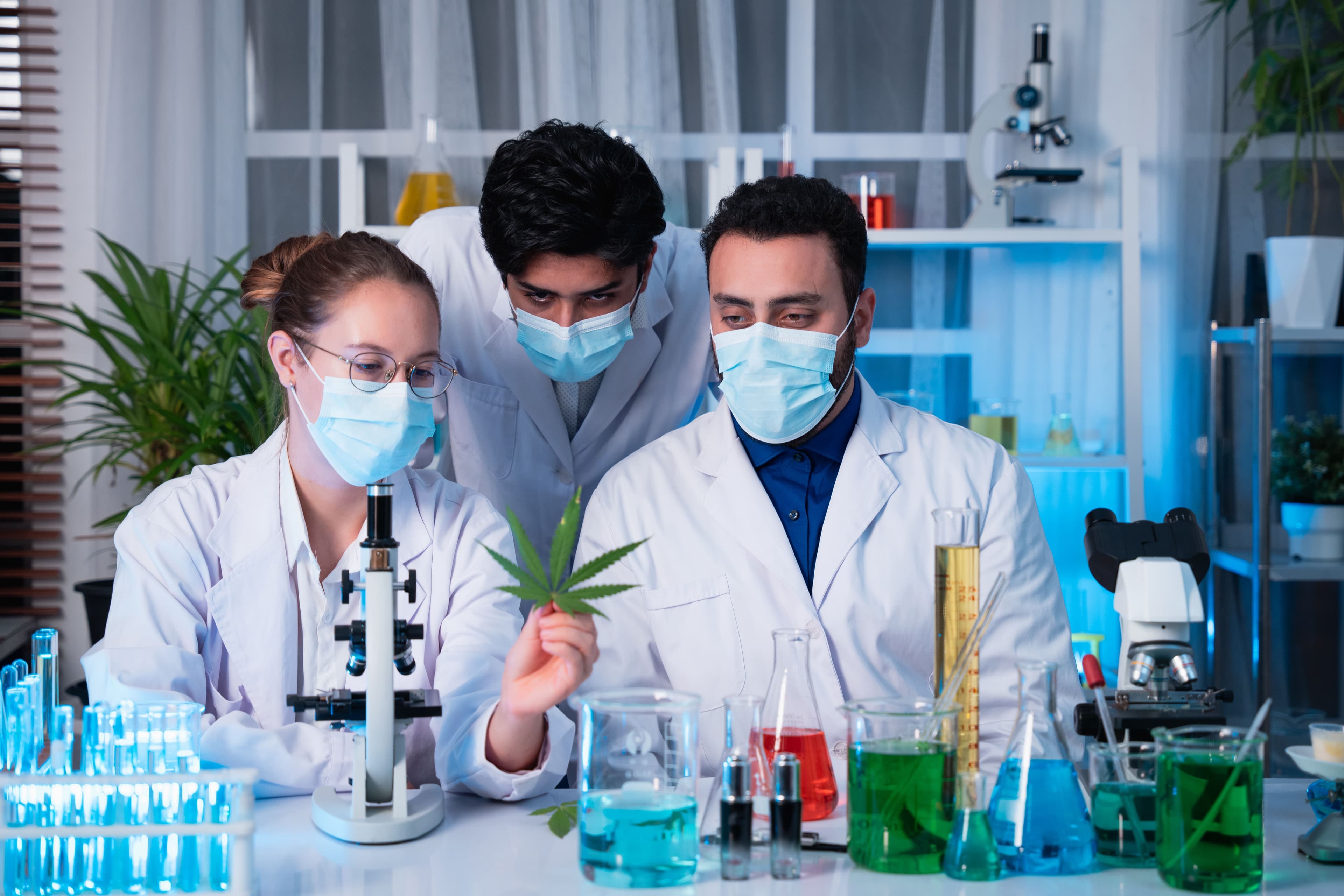 How Much Can You Buy from a Dispensary at a Time in NY?