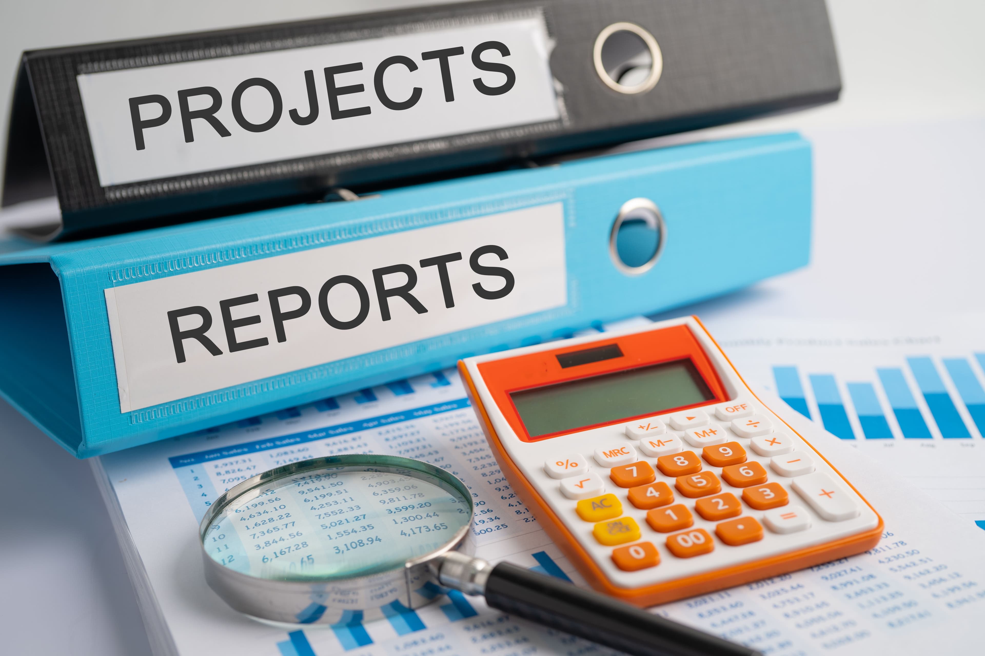 Reporting Requirements for RSA